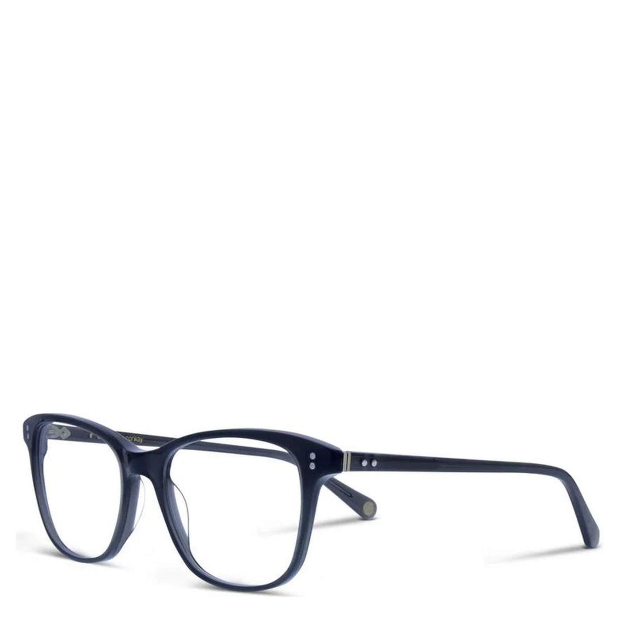 Blue Resin Glasses (Frames)