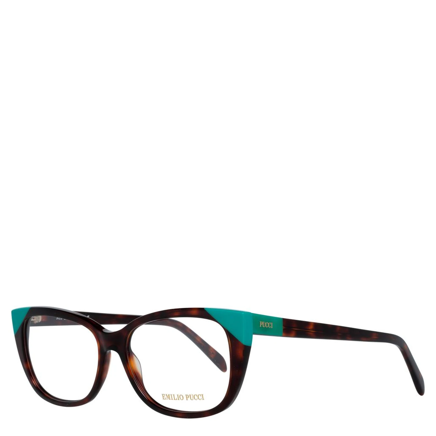 Brown Plastic Glasses (Frames)