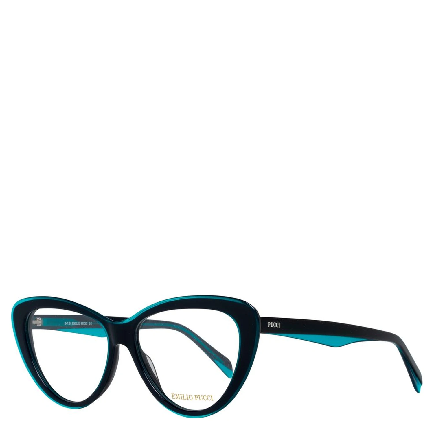Blue Plastic Glasses (Frames)