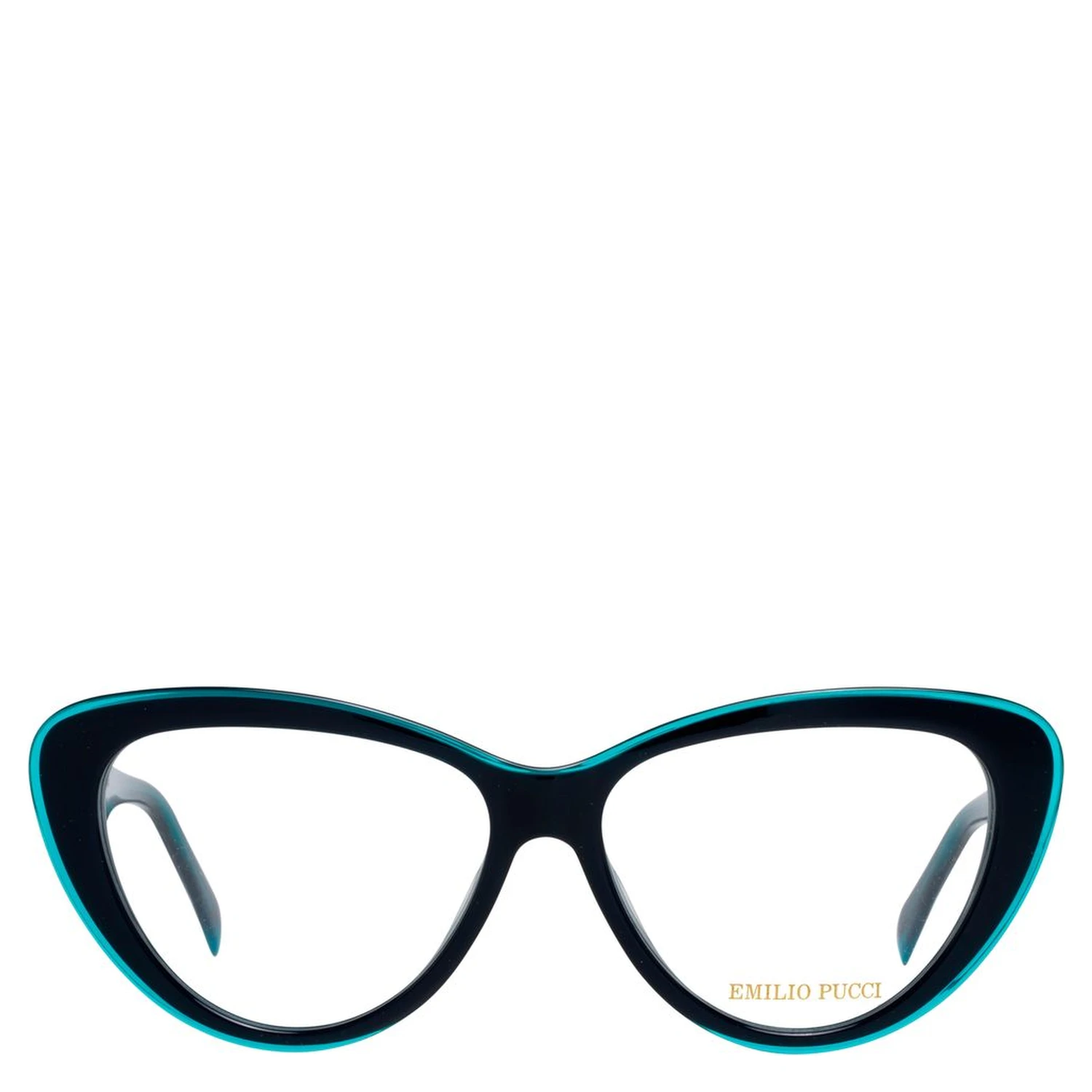 Blue Plastic Glasses (Frames)
