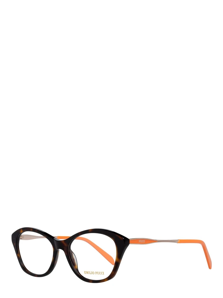 Brown Metal Glasses (Frames)