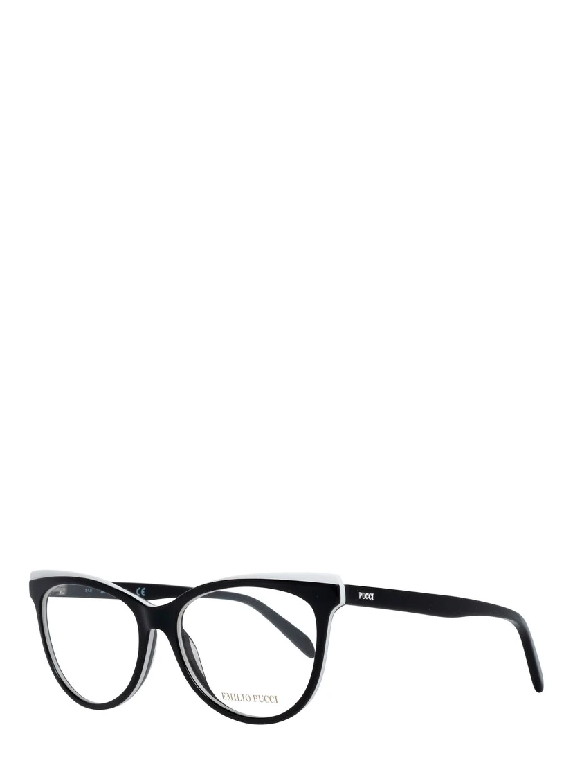 Black Plastic Glasses (Frames)