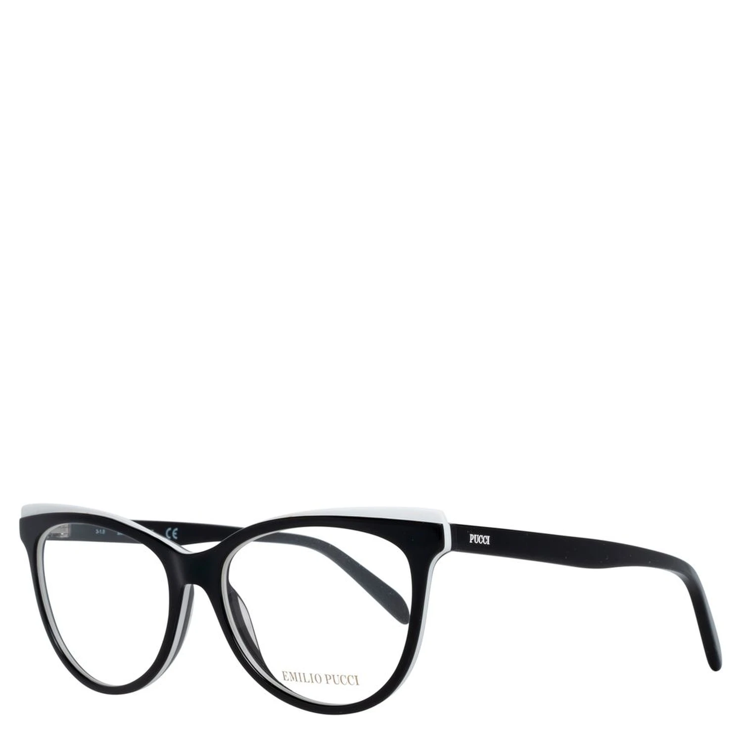 Black Plastic Glasses (Frames)