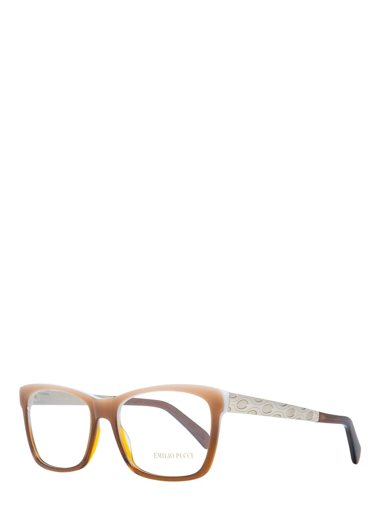 Brown Plastic Glasses (Frames)