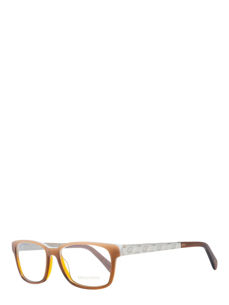 Brown Plastic Glasses (Frames)