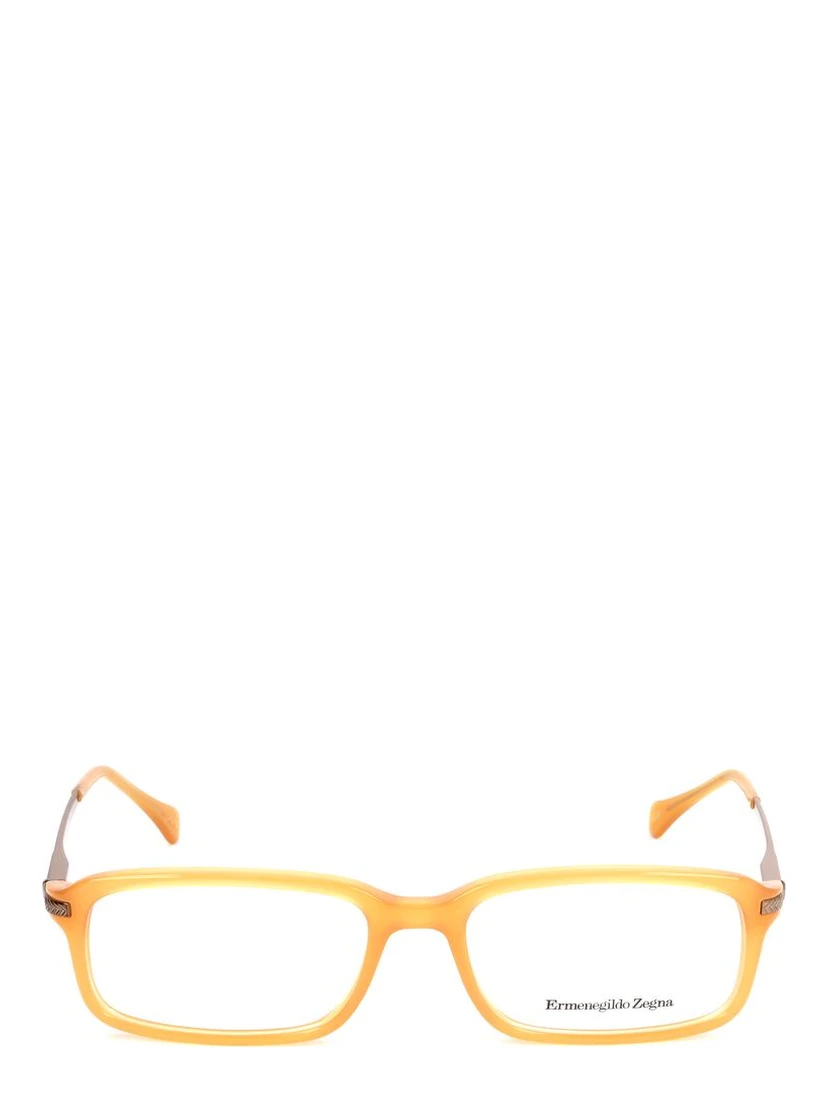 Bicolor Acetate Glasses (Frames)