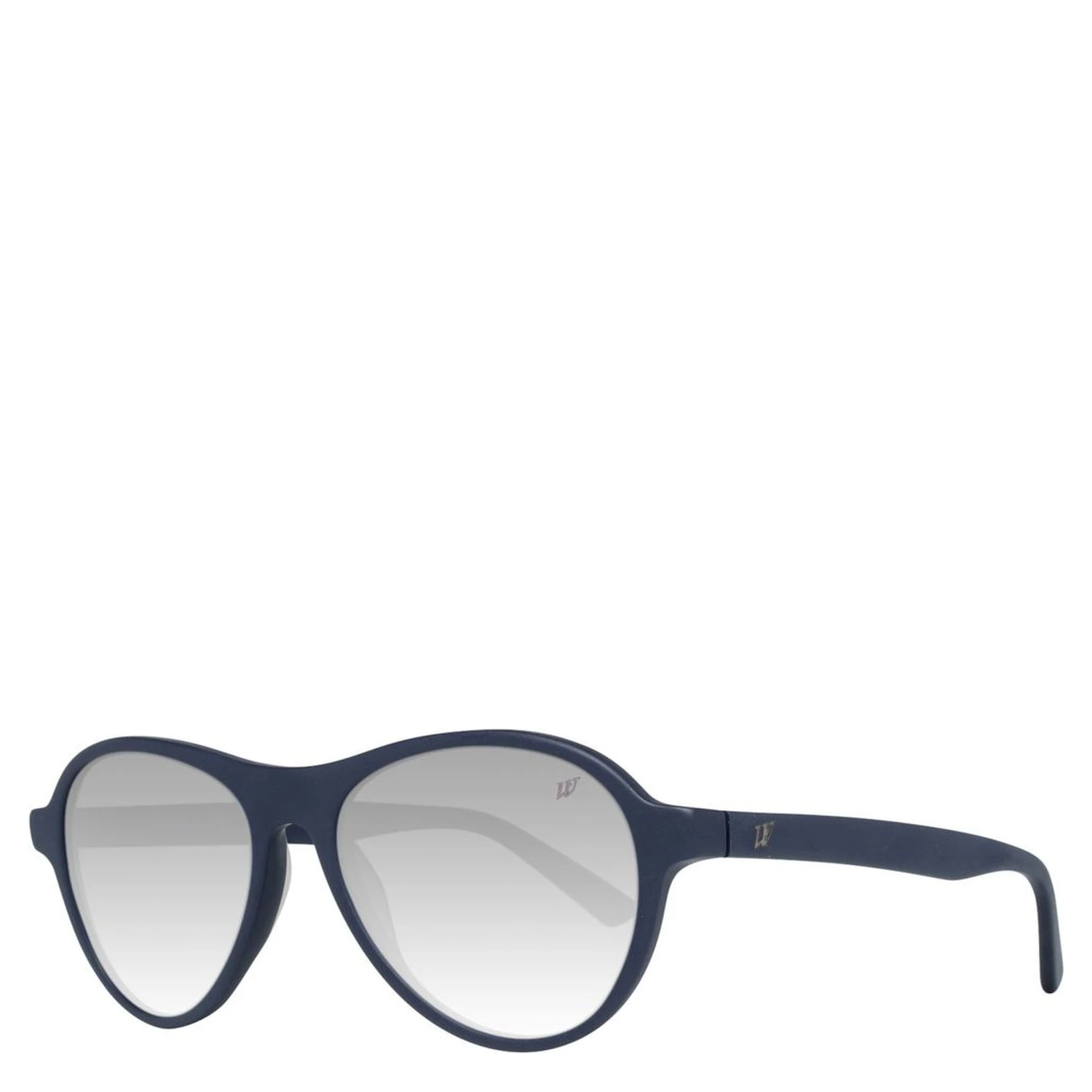 Blue Plastic Sunglasses
