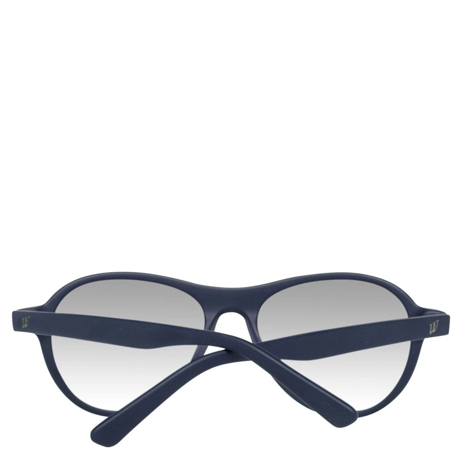 Blue Plastic Sunglasses