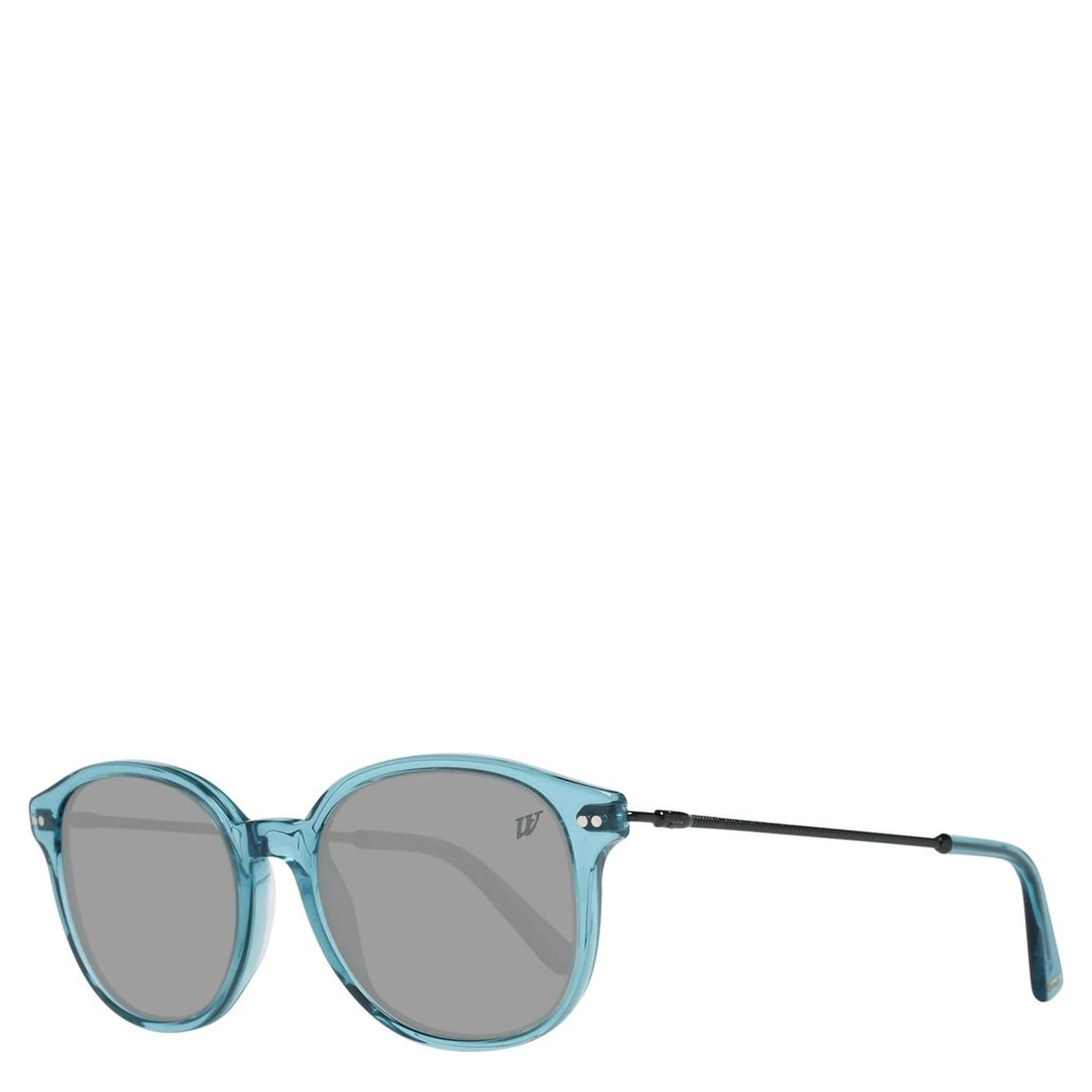 Blue Plastic Sunglasses