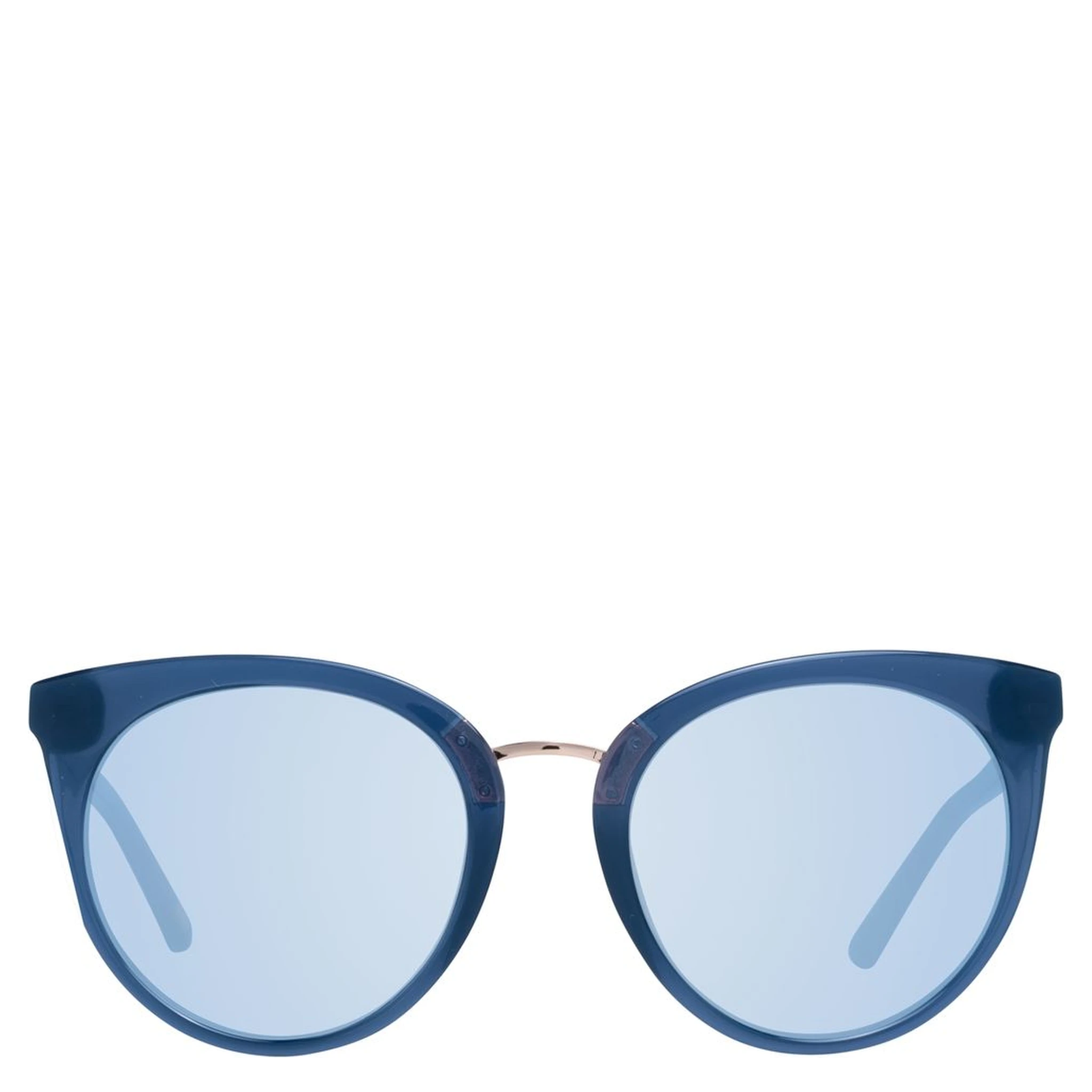 Blue Plastic Sunglasses