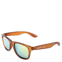 Brown Injected Sunglasses