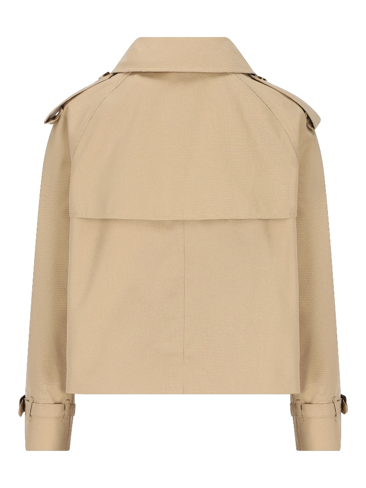 سترات بربري alternative