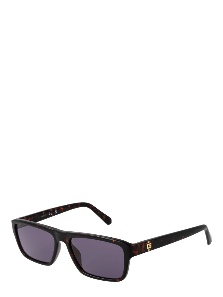 Brown Plastic Sunglasses