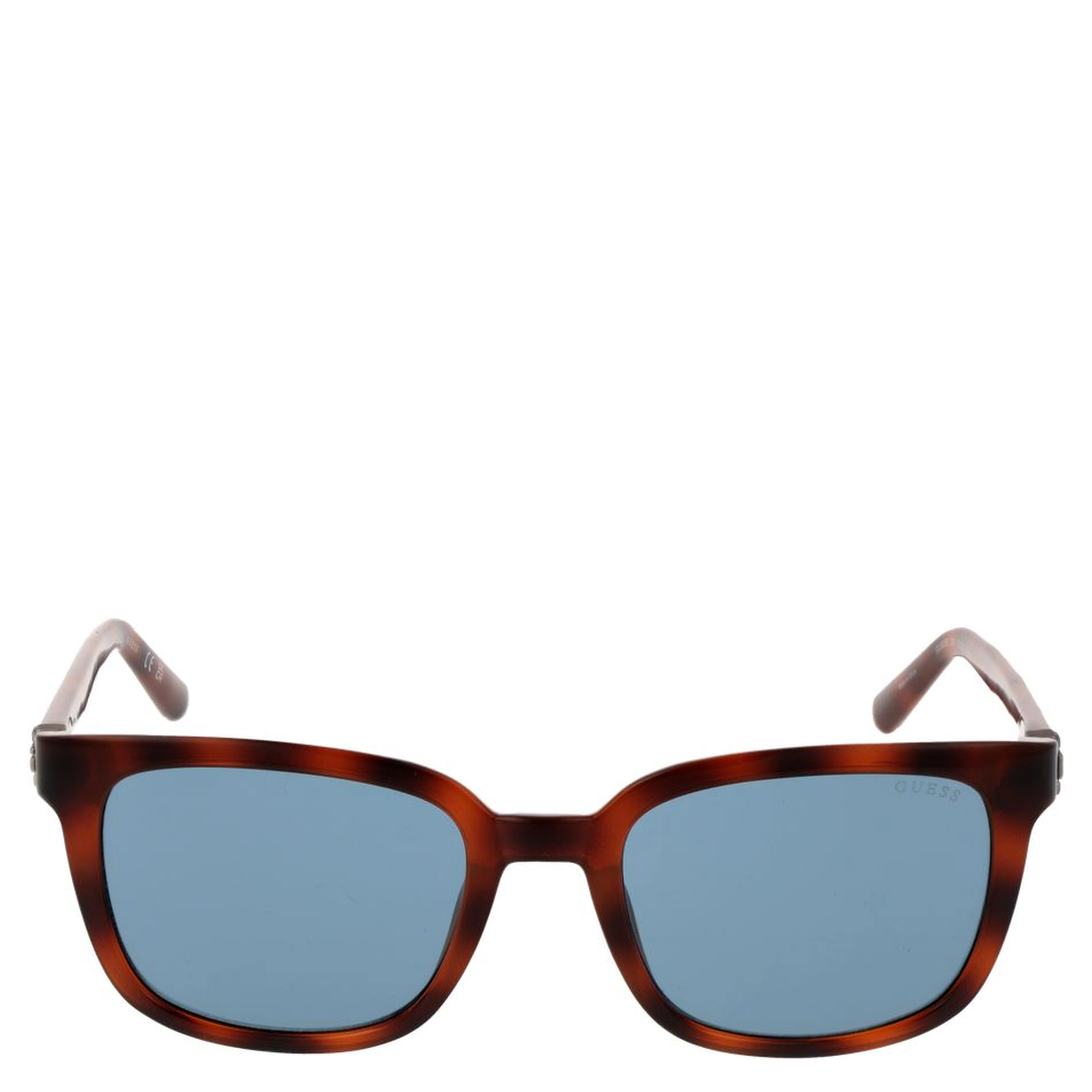 Brown Plastic Sunglasses