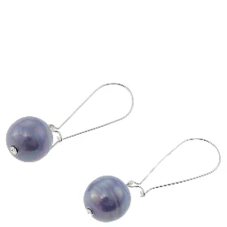 Blue Stainless Steel Earrings