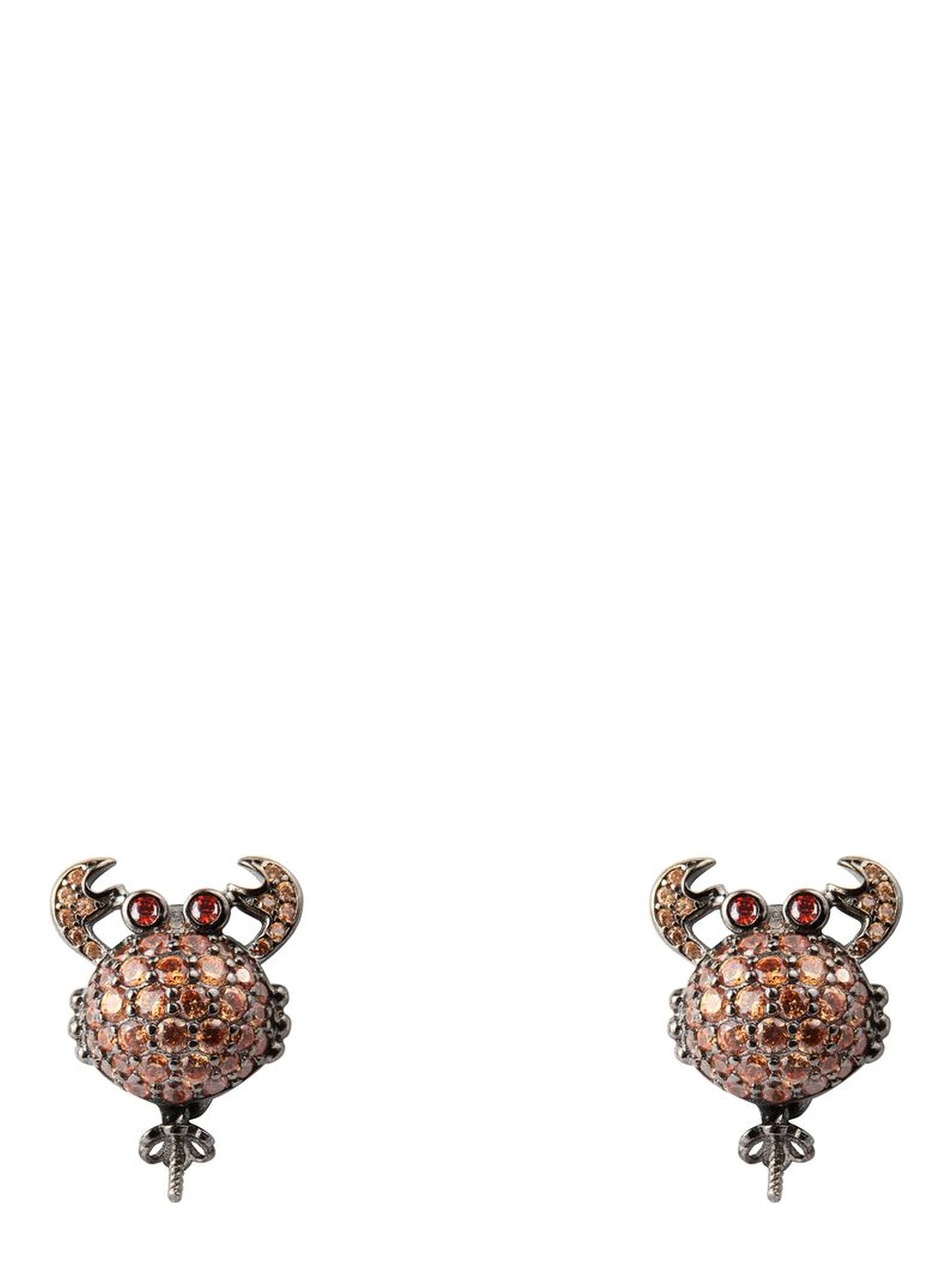 Bicolor Silver Earrings
