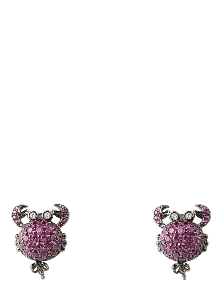 Bicolor Silver Earrings
