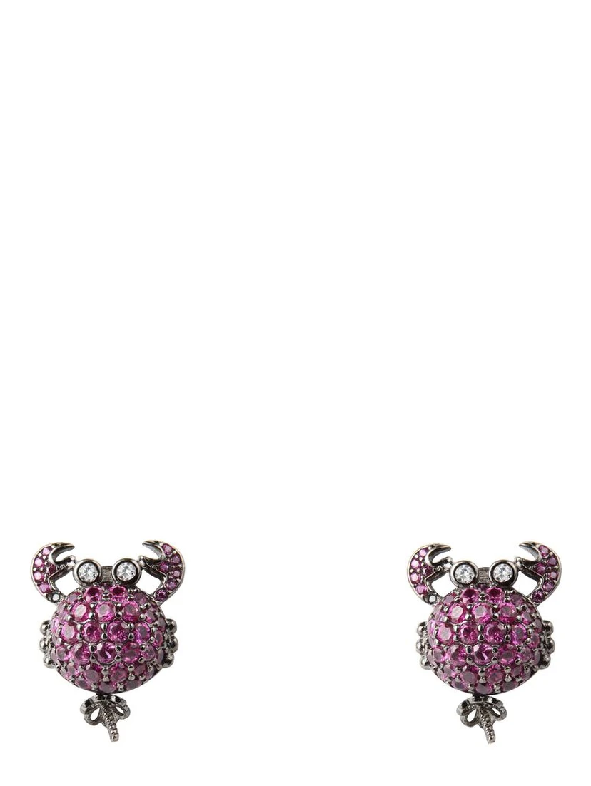 Bicolor Silver Earrings