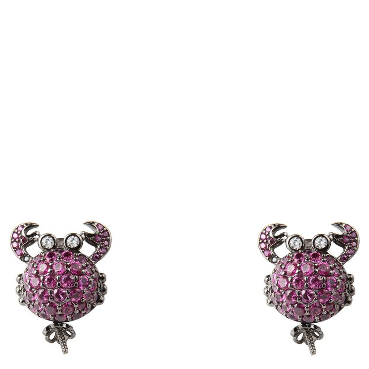 Bicolor Silver Earrings