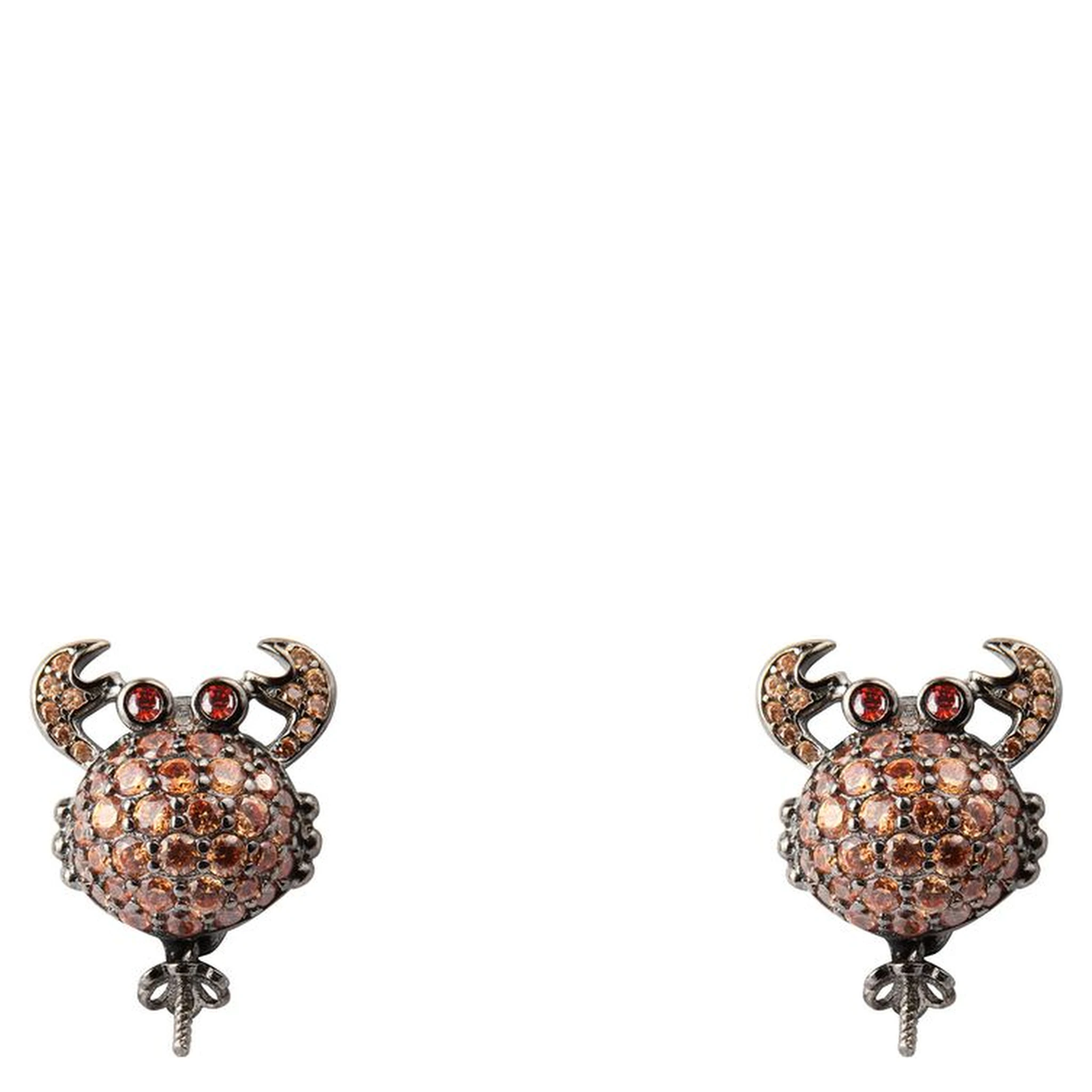 Bicolor Silver Earrings
