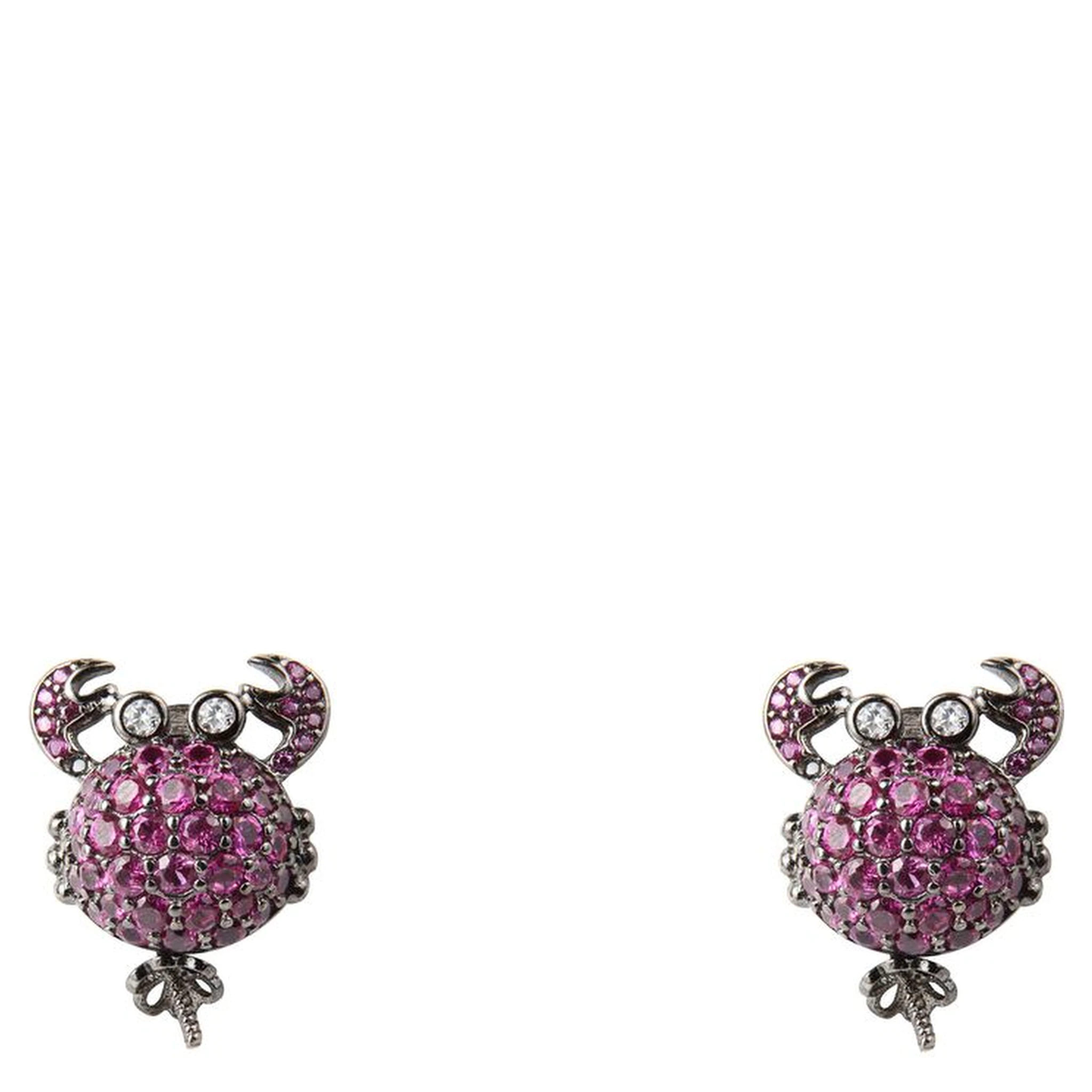 Bicolor Silver Earrings