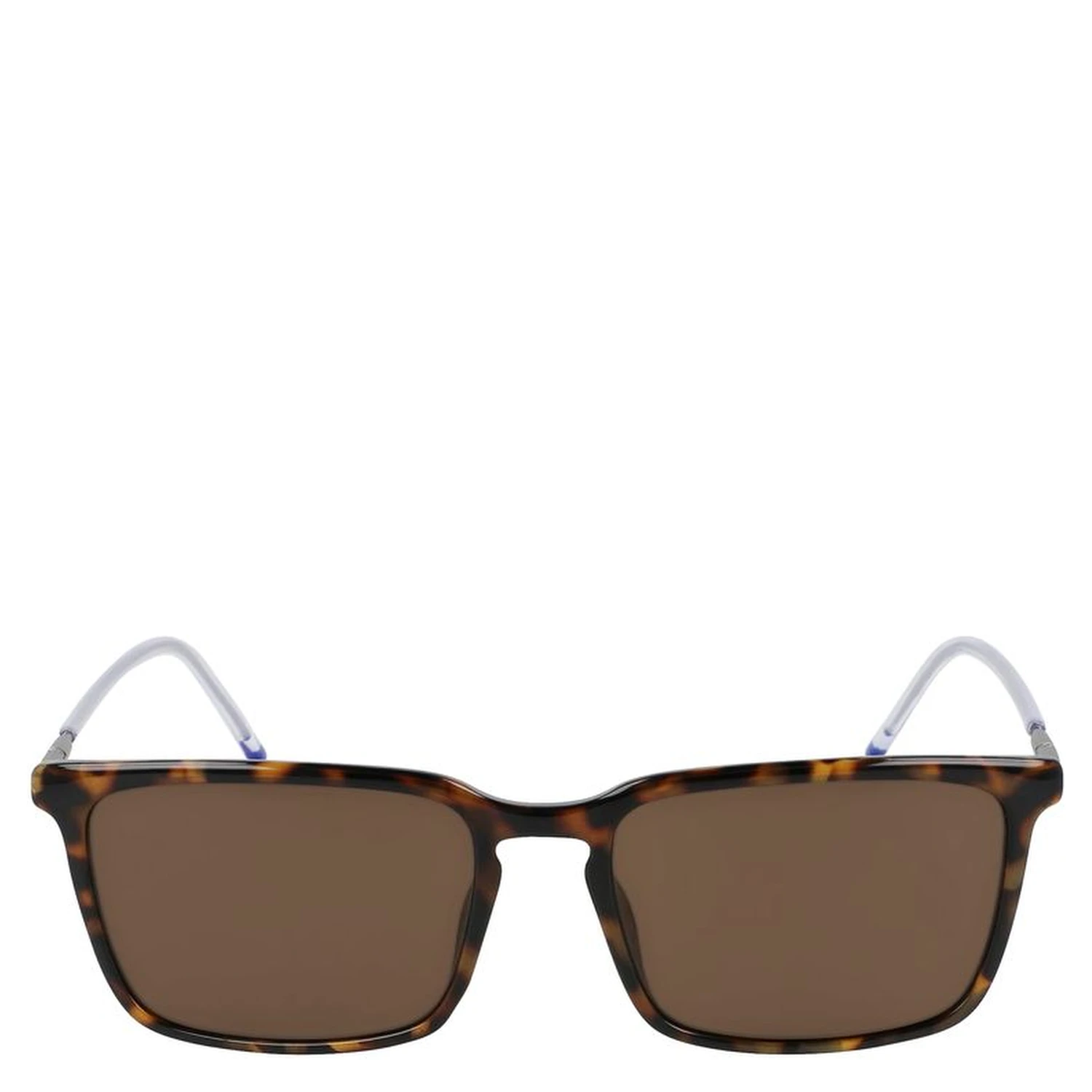 Brown Injected Sunglasses
