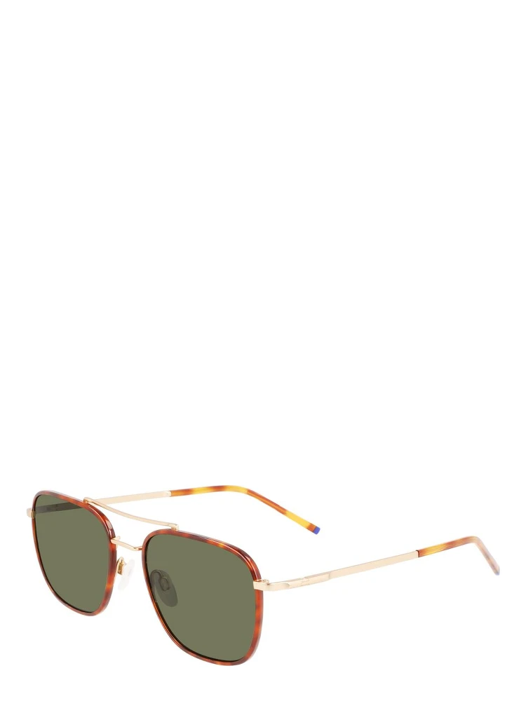Brown Titanium Sunglasses