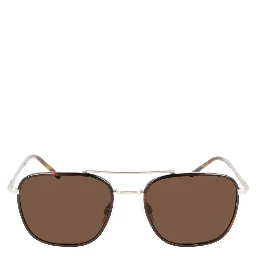 Brown Titanium Sunglasses