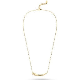 Gold Stainless Steel Necklace