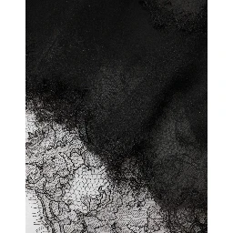 Black Silk Floral Lace Chemise Lingerie Top