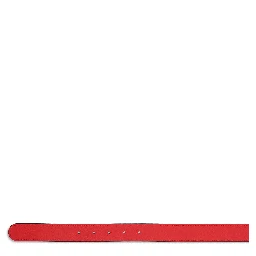 Valentino Garavani Belts