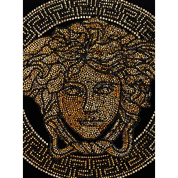 Icon Black Cushion with Medusa and Rhinestone in Cotton