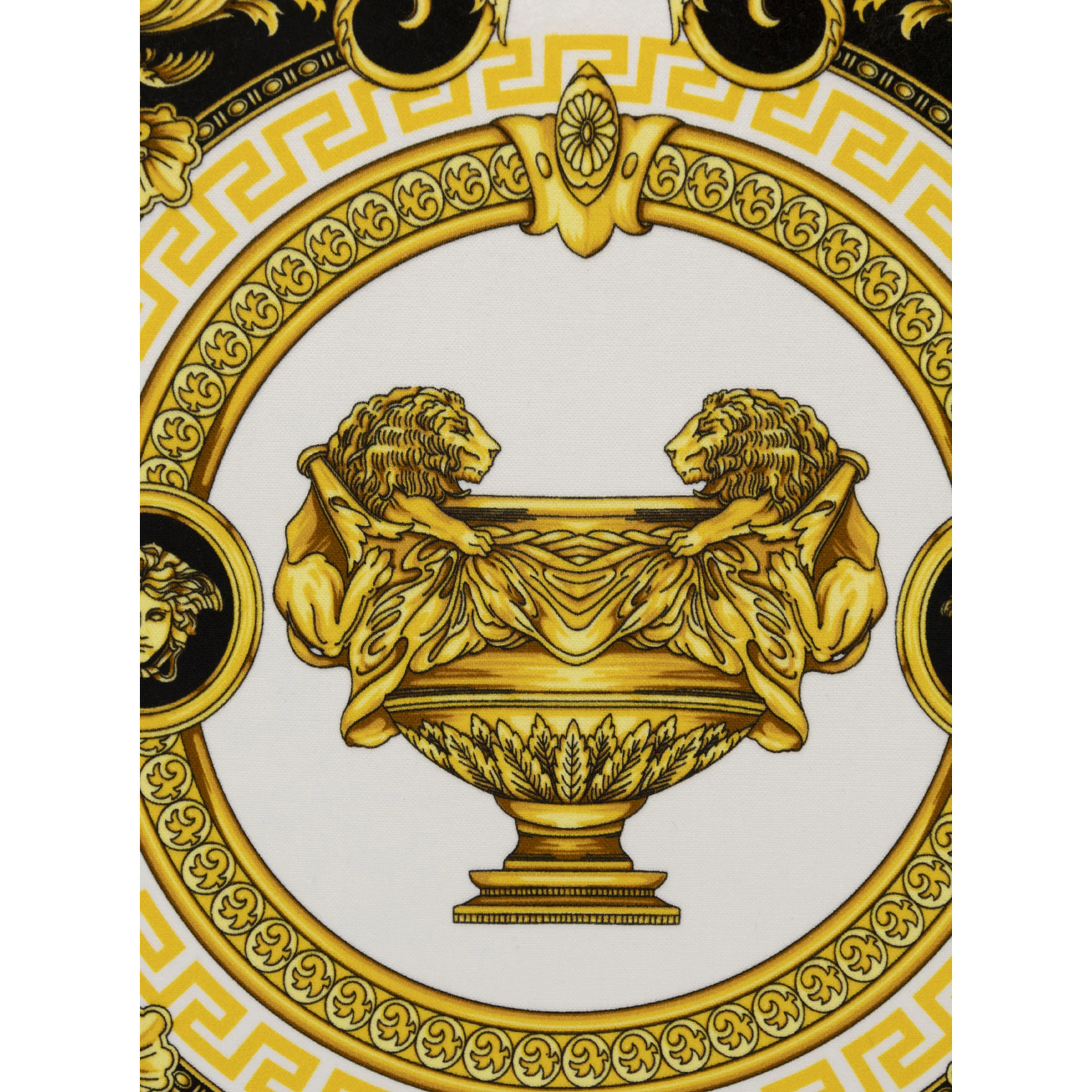 La Coupe des Dieux Multicolor Cushion with Print in Silk