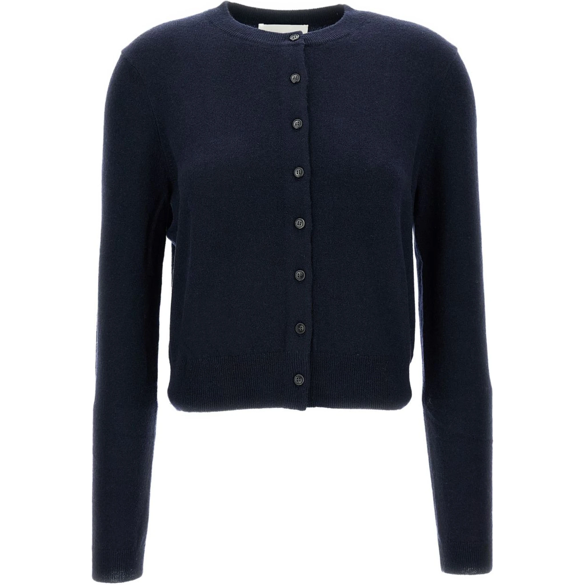 LISA YANG Sweaters Blue