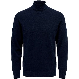Blue Polyester Turtleneck