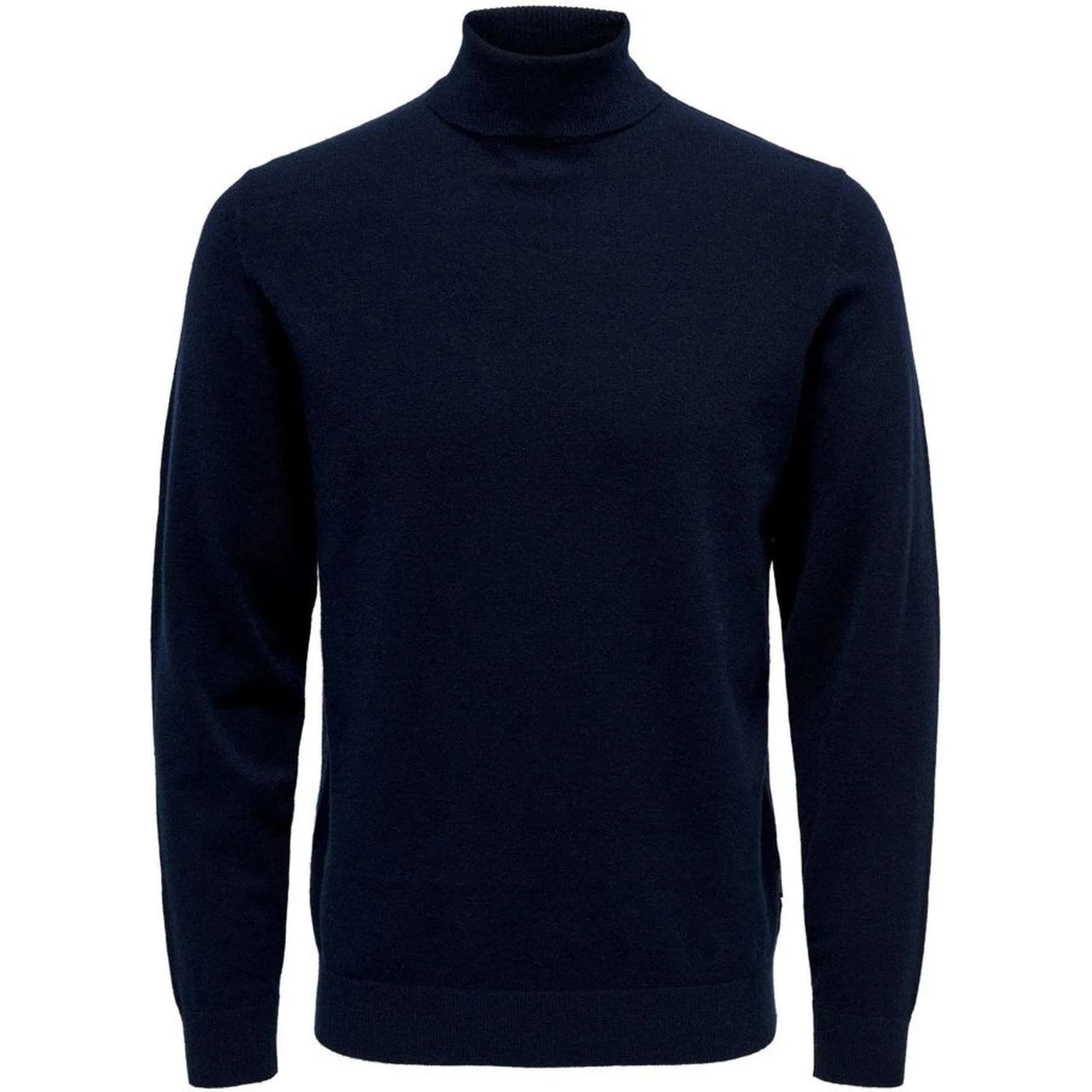 Blue Polyester Turtleneck