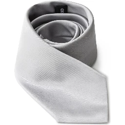 Silver Silk Tie