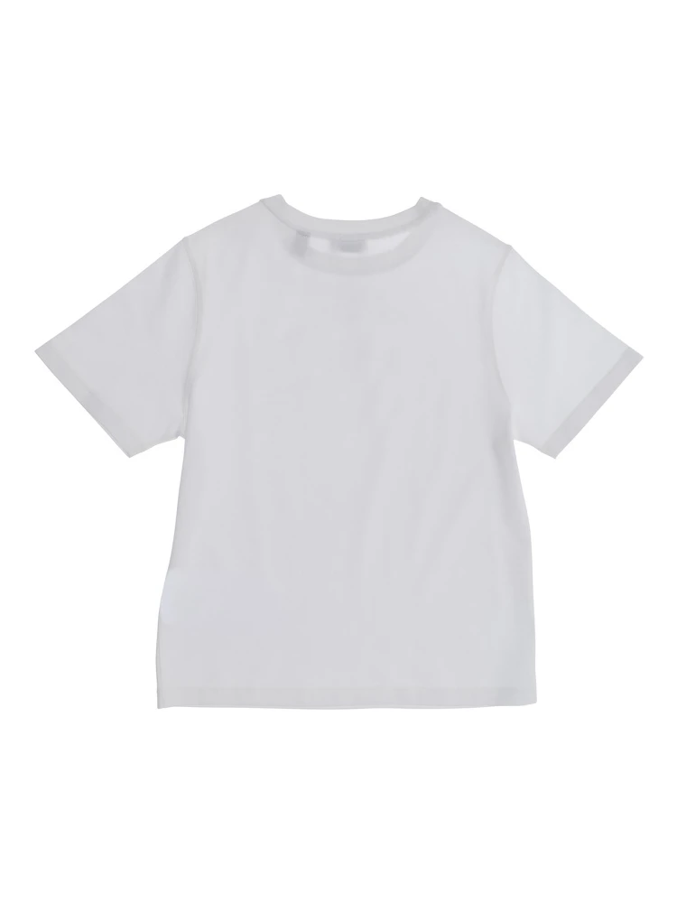 KB5 CEDAR AP KNIGHT alternative