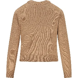 Céline Sweaters Brown