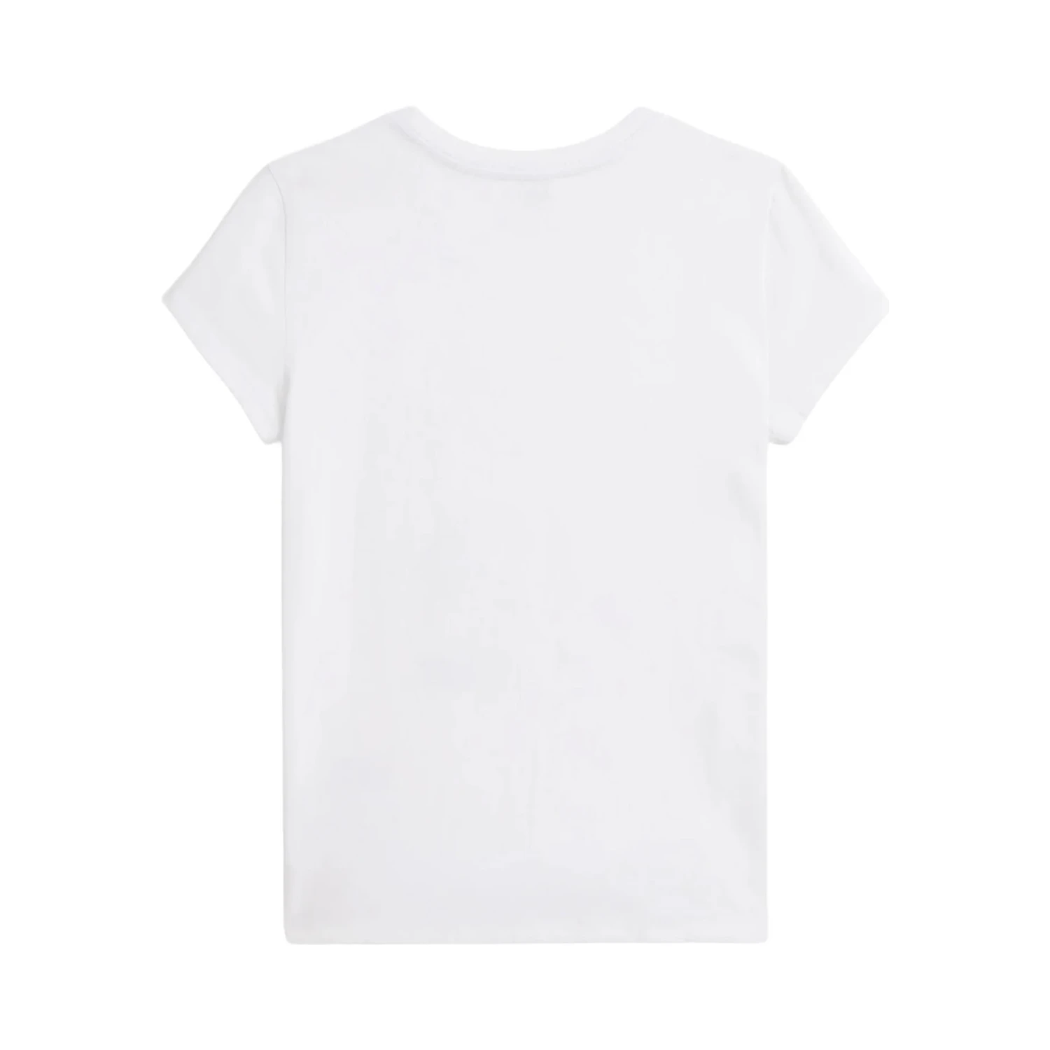 BEAR T-SHIRT