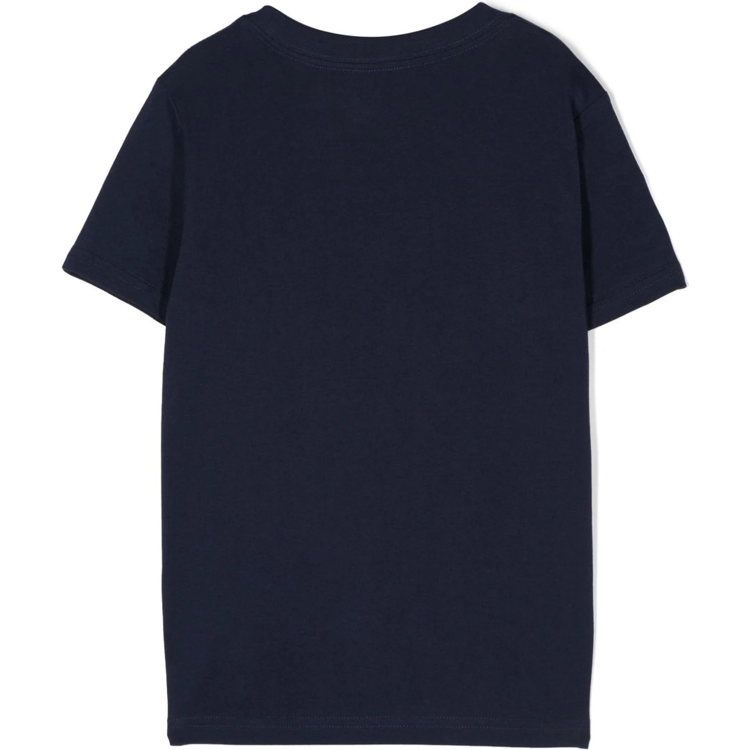 Polo Ralph Lauren T-shirts and Polos Blue