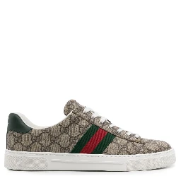 Ace GG Supreme canvas sneakers