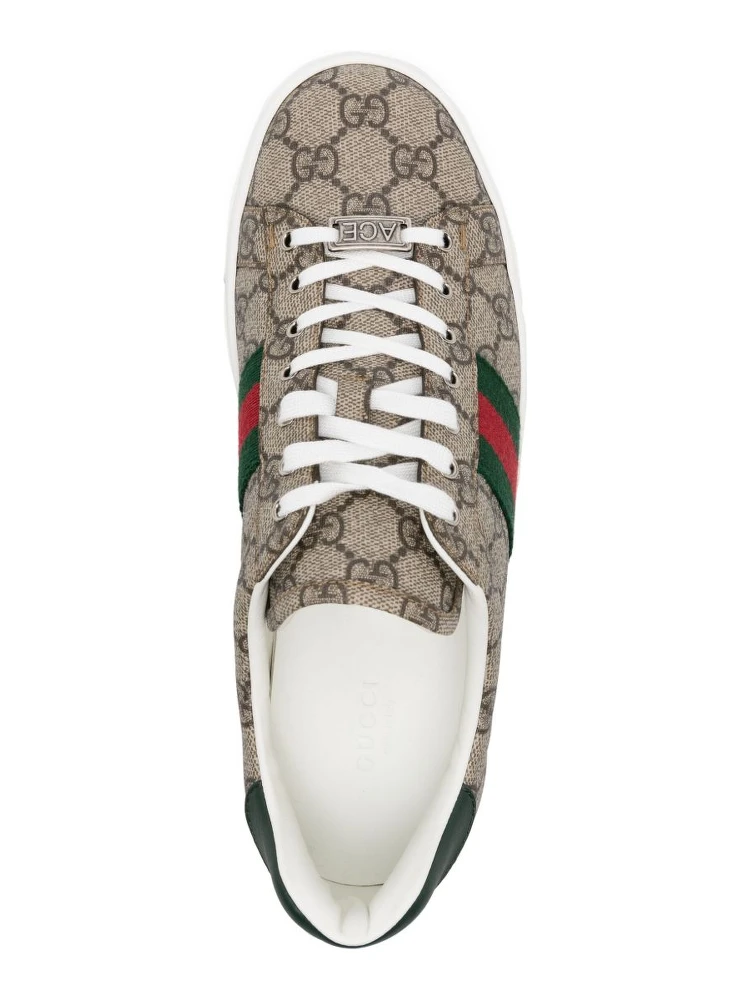 Ace GG Supreme canvas sneakers alternative