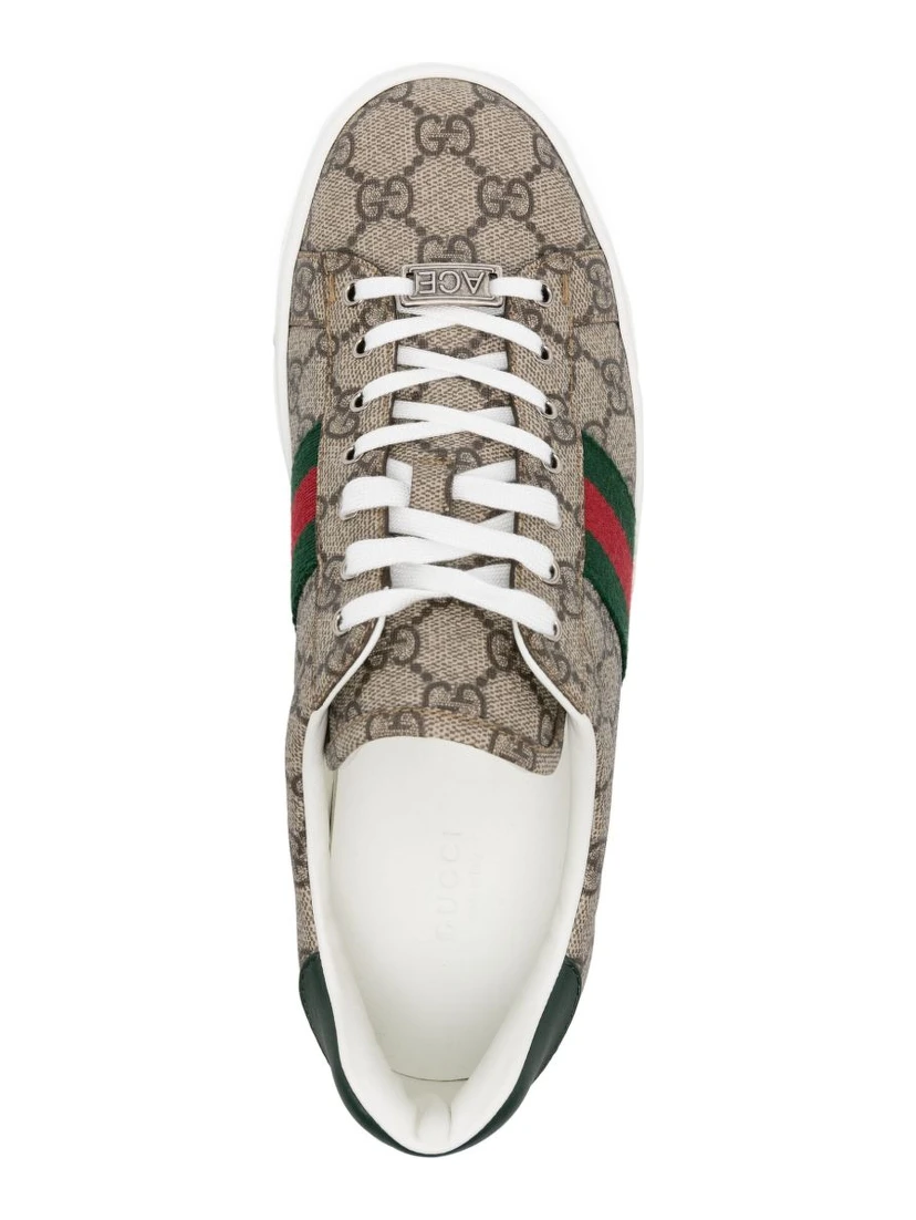 Ace GG Supreme canvas sneakers