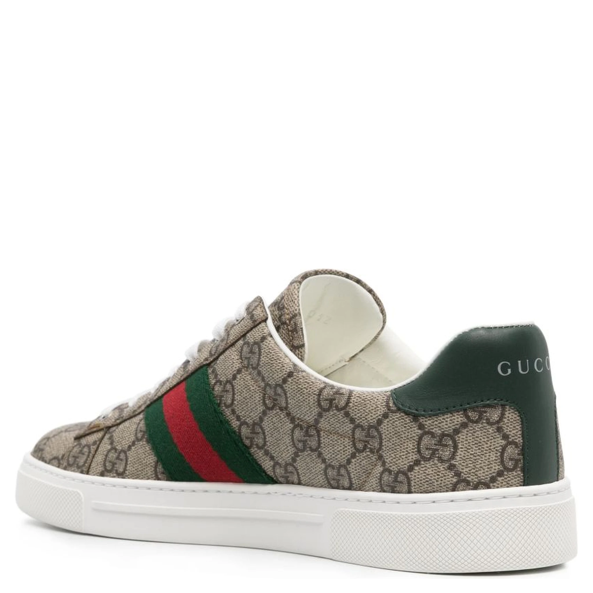 Ace GG Supreme canvas sneakers