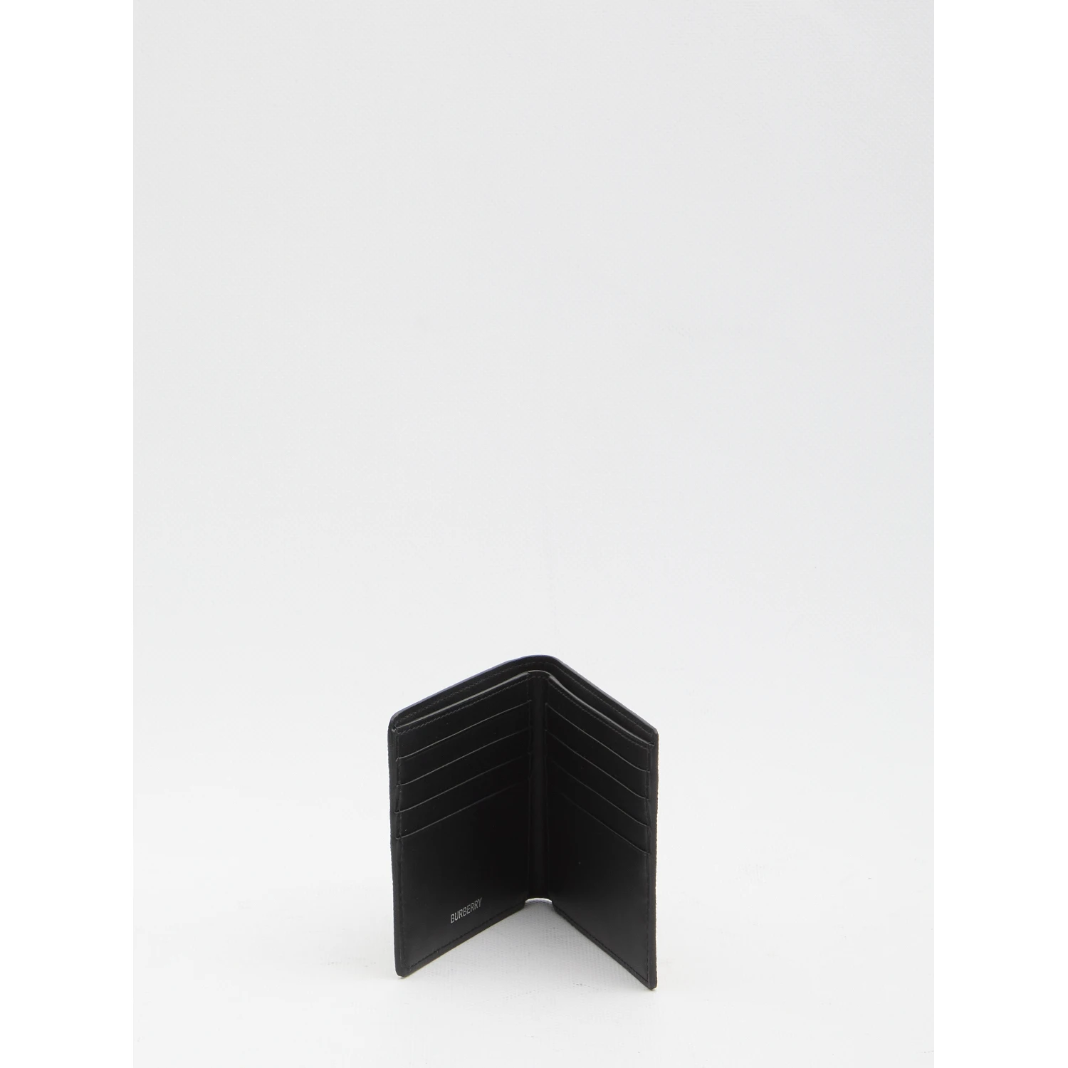 Check book wallet