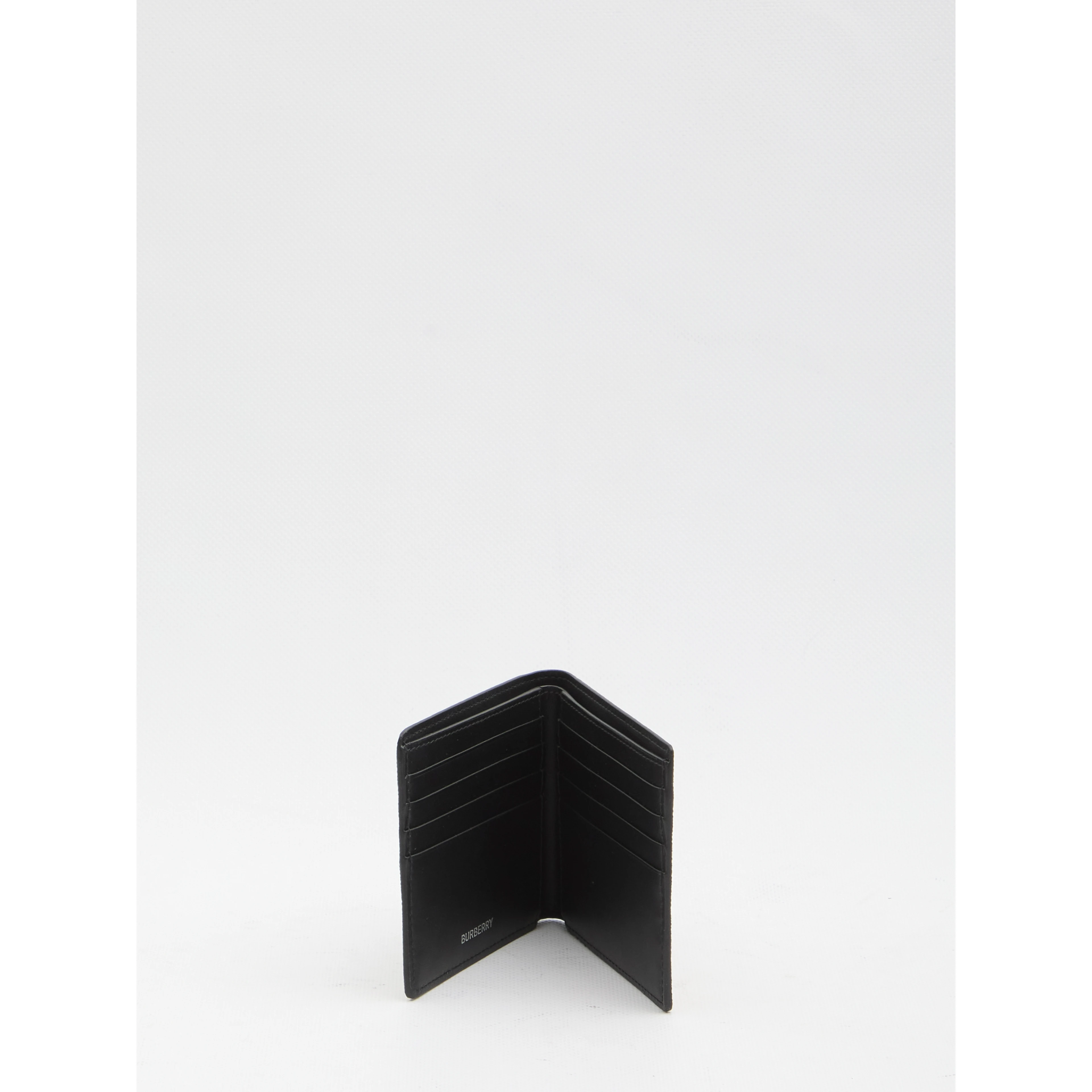 Check book wallet