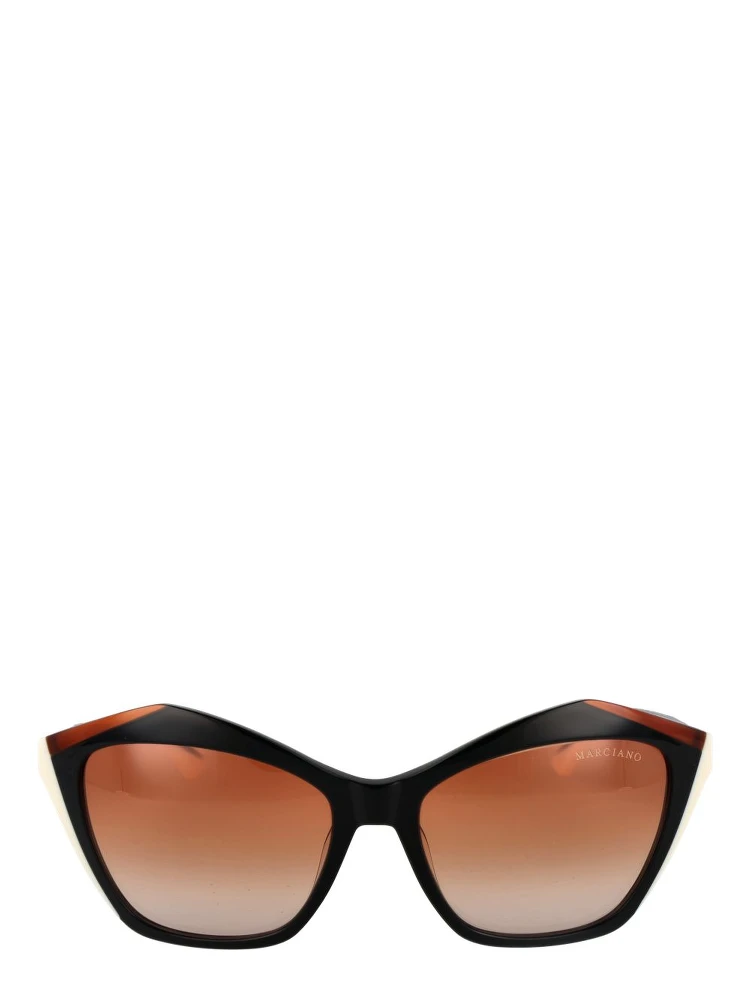 Black Acetate Sunglasses alternative