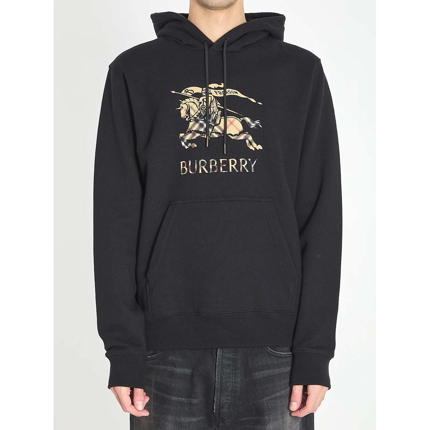 Cotton jersey hoodie