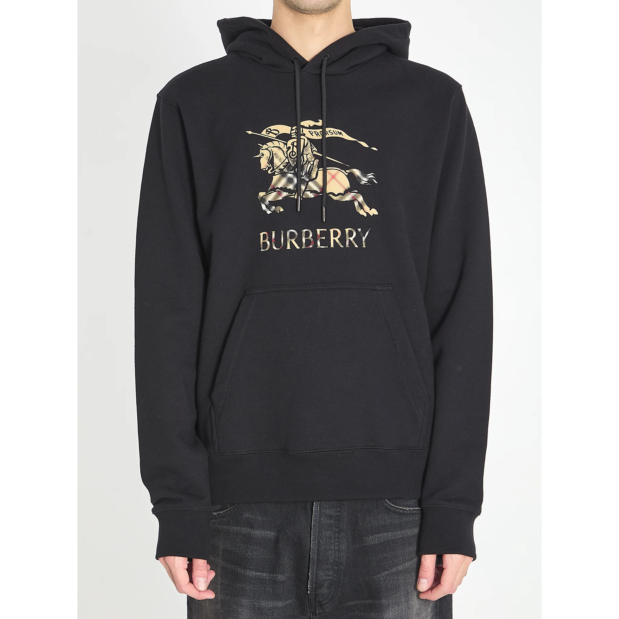 Cotton jersey hoodie